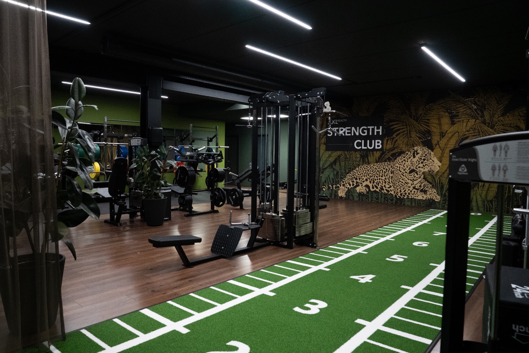 Profisport Training